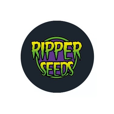 Semi femminizzati Ripper Seeds